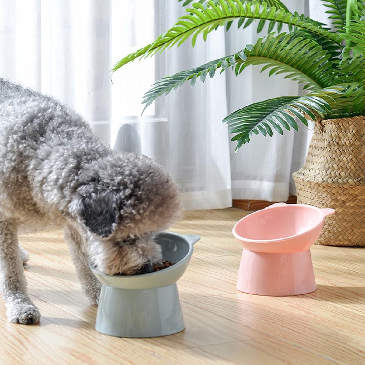 Cat bowl - Non-slip feeder - Tilting bowl - Anti-vomiting - Angled design - Blue - Perfect for cats - Indoor use - Pet accessories - Pink