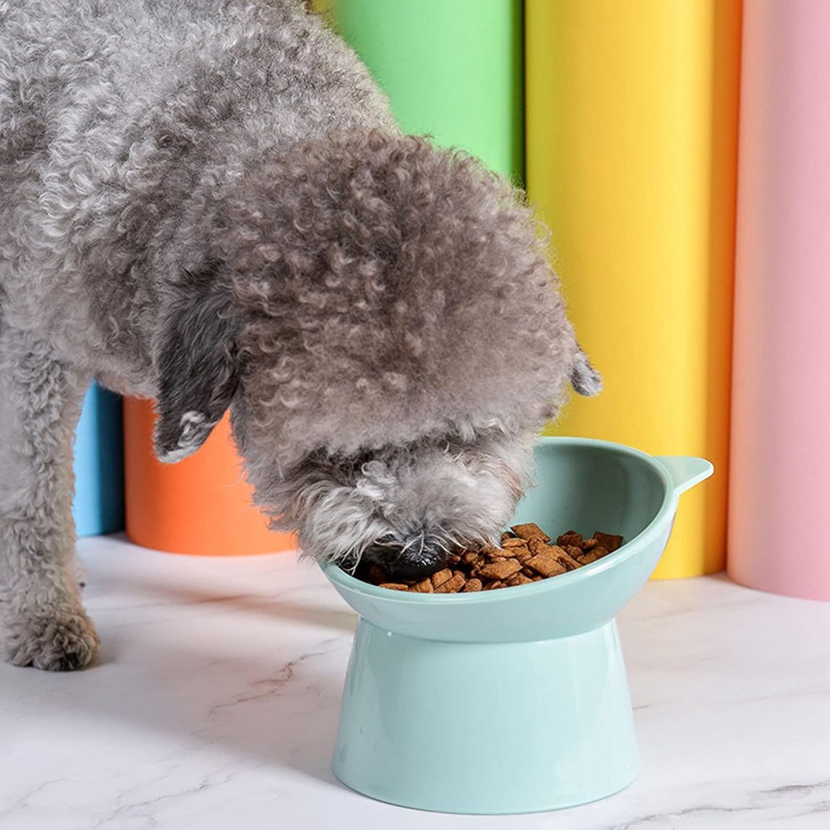 Cat bowl - Feeders - Tilting bowl - Anti-vomiting - Angled design - Blue - Perfect for cats - Indoor use - Pet accessories - Green