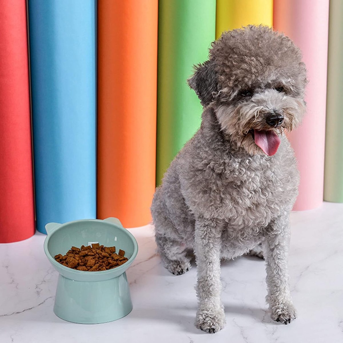 Cat bowl - Feeders - Tilting bowl - Anti-vomiting - Angled design - Blue - Perfect for cats - Indoor use - Pet accessories - Green