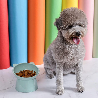 Cat bowl - Feeders - Tilting bowl - Anti-vomiting - Angled design - Blue - Perfect for cats - Indoor use - Pet accessories - Green