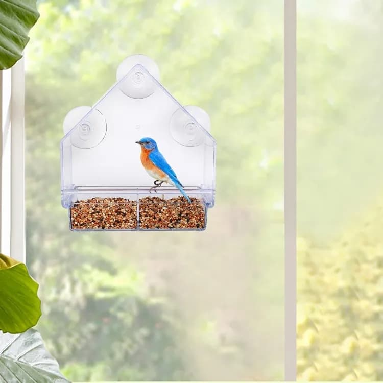 Acrylic bird feeder with suction cup bird bath and food bowl, 15x5.5x16 cm