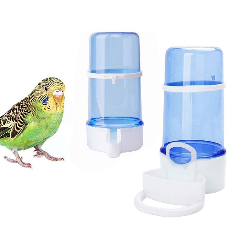 Automatic Water Dispenser (Plastic) 220ML Capacity Size: 130*85mm Color: Green/Transparent for Parrots (1pc)