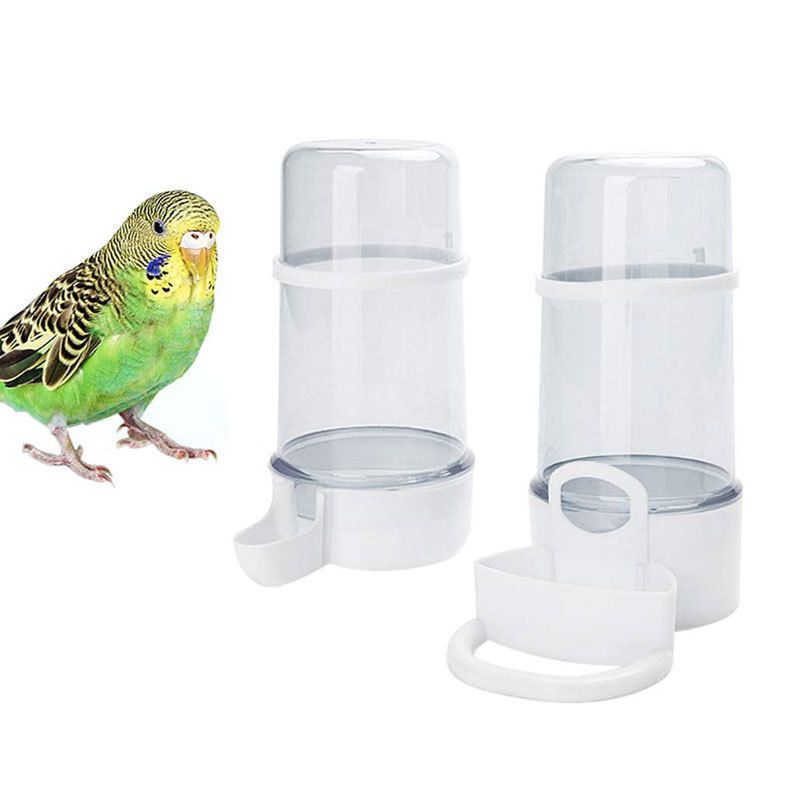 Automatic Water Dispenser (Plastic) 220ML Capacity Size: 130*85mm Color: Green/Transparent for Parrots (1pc)