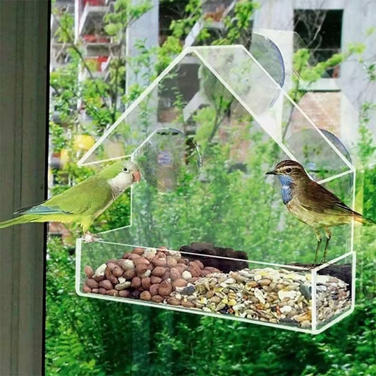 Transparent Bird Feeder (PS) Size: 150*60*150mm Color: Transparent for Birds Outdoor Use (1pc)