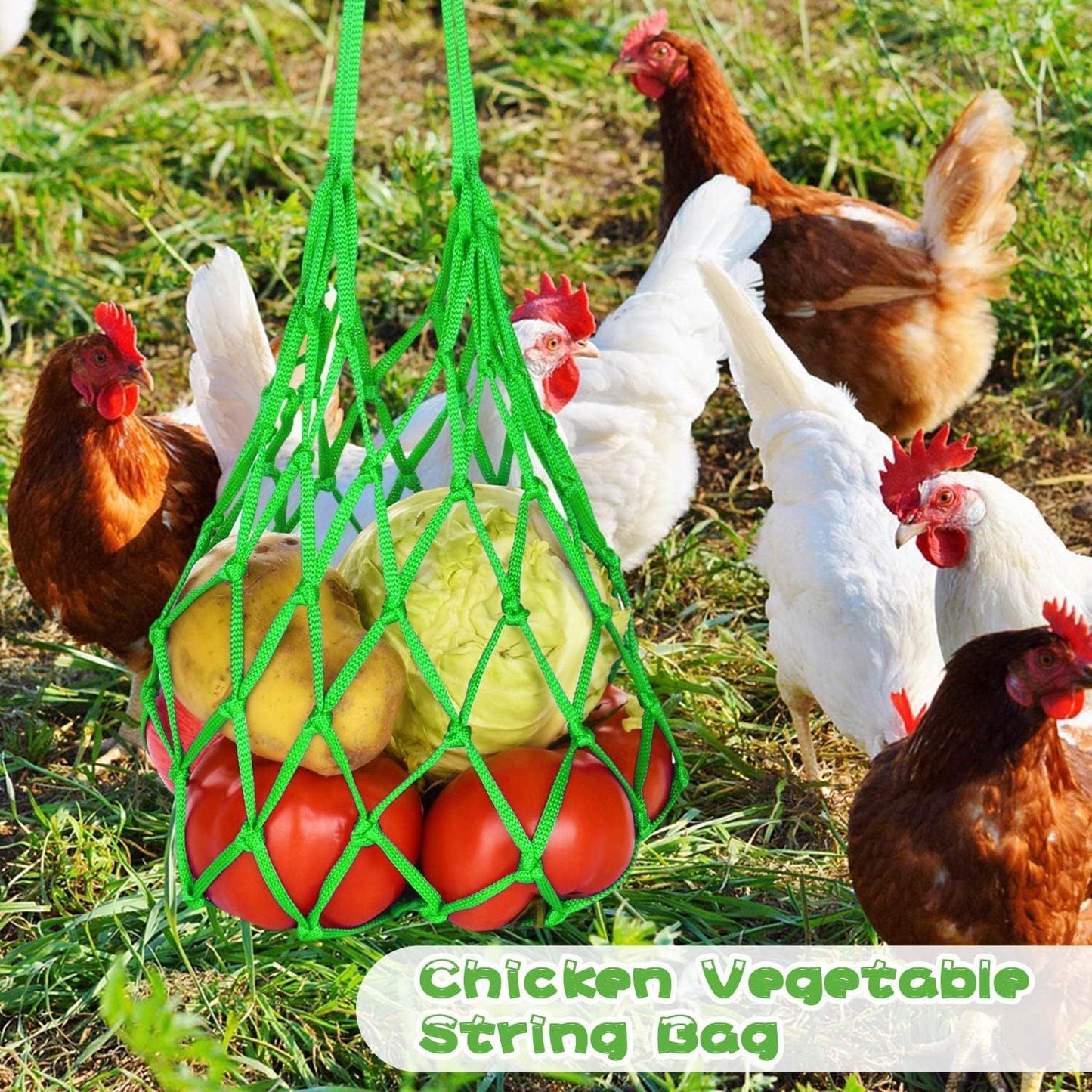 Hanging Feeding Net Bag (Nylon) Size: 570mm Color: Red for Parrots (2pc)