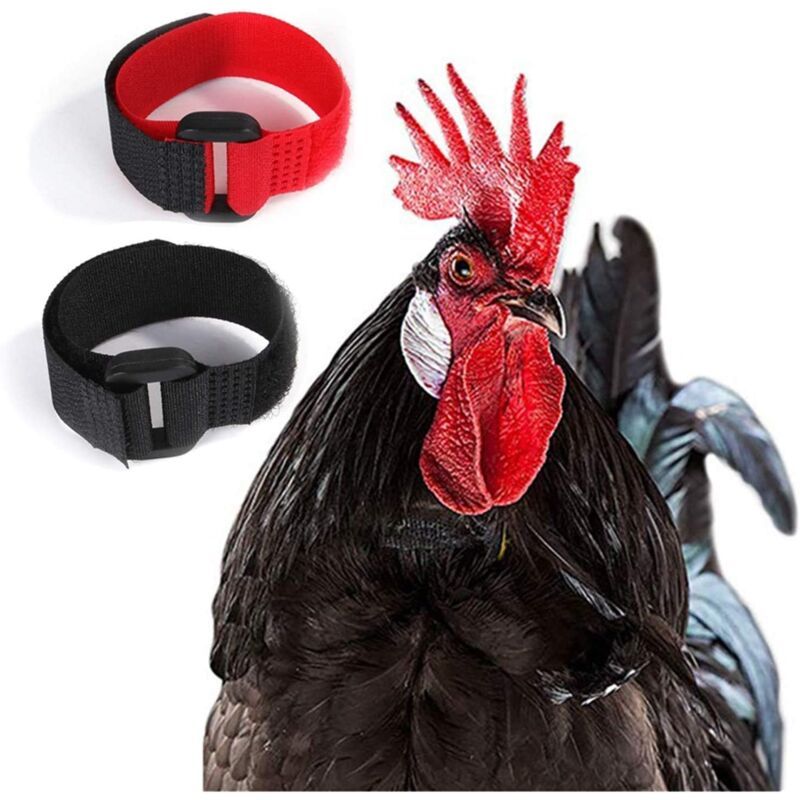 2 Pack Adjustable Chicken Collar, Anti Crow Rooster Collar