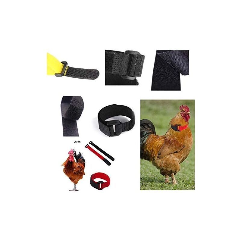 2 Pack Adjustable Chicken Collar, Anti Crow Rooster Collar