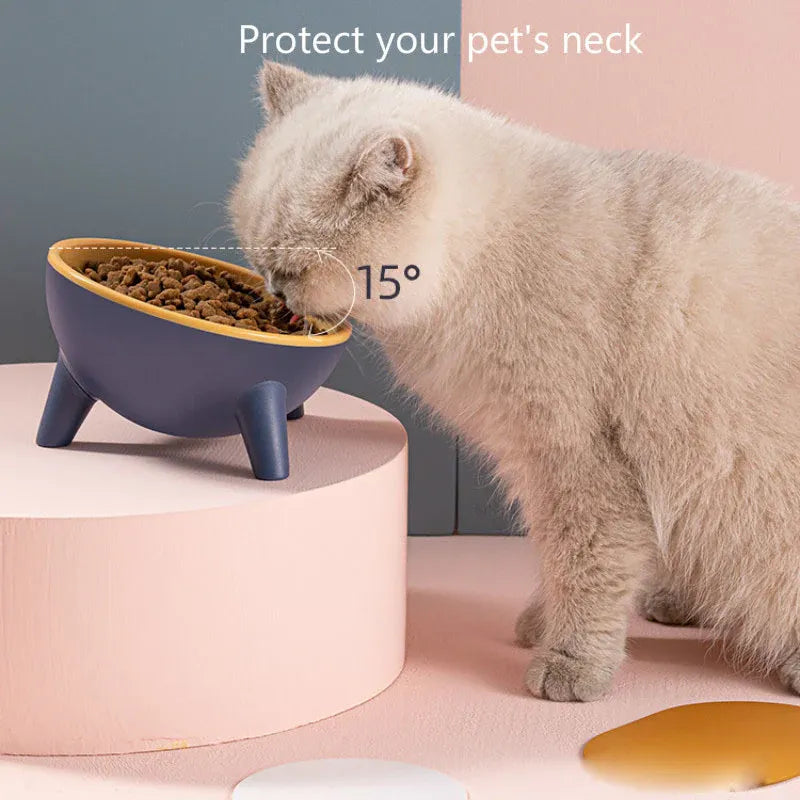 Cat and Dog Non-Breakable Bowl With Stand, Durable, Heat Resistant - Moff green