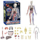 3D Human Body Model with Removable Bones,Organs,Blood Vessels,Transparent Anatomy Figure with Luminous Design, DIY Model for Study,Teaching Demonstration,Science Early Learning