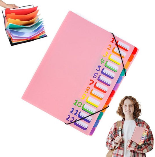 A4 Expandable Project Folder - A4 Sorting Folder - 12 Compartments - File Folder with Tabs - Compartment Folder - Desk Folder - Storage Folder - Document Folder - Work Folder - Clear Classification - Pink