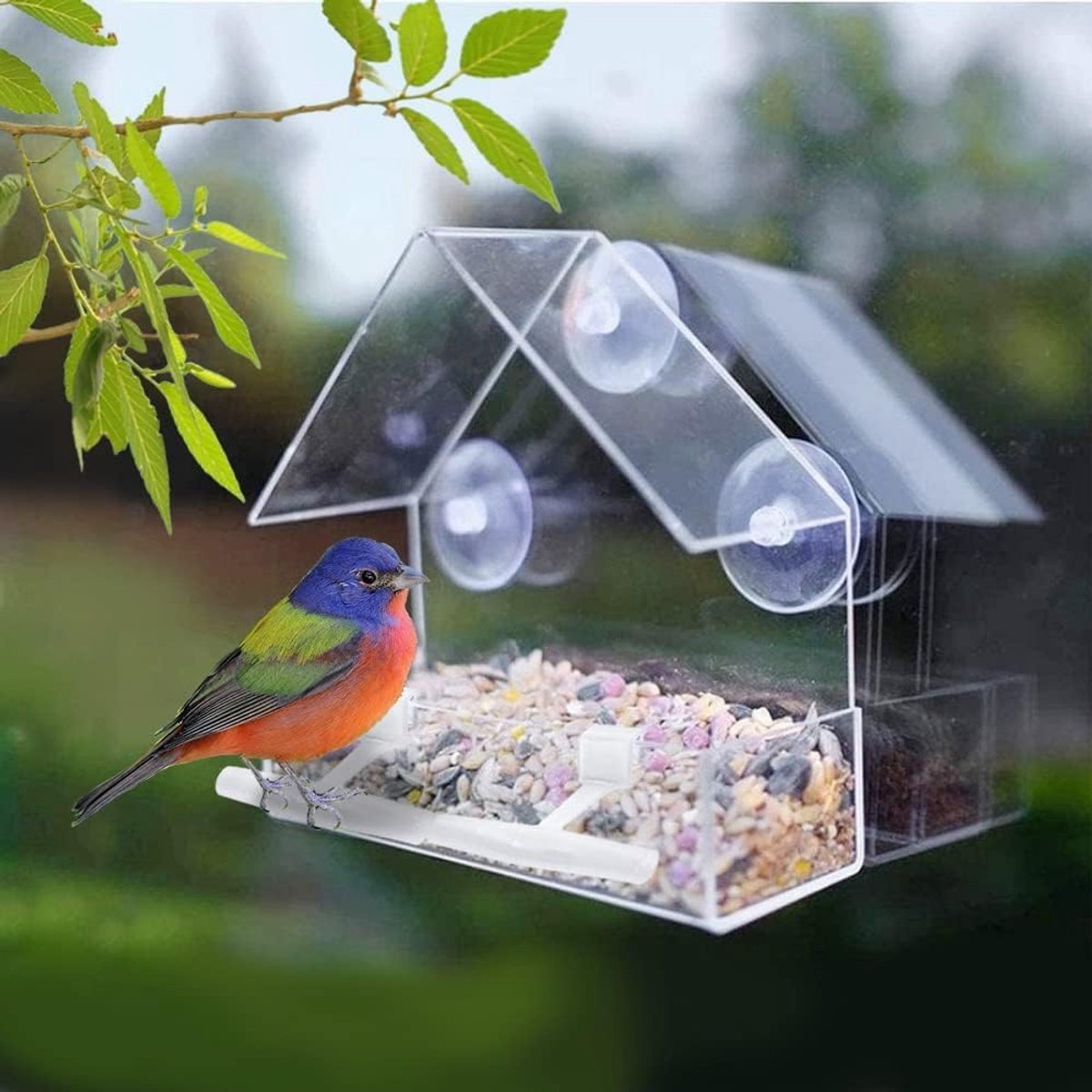 Window Bird Feeder - 2 Pieces Hanging Birdhouse - bird feeder - Transparent with Suction Cup - Transparent Window Feeder - Transparent - outdoor birdhouse