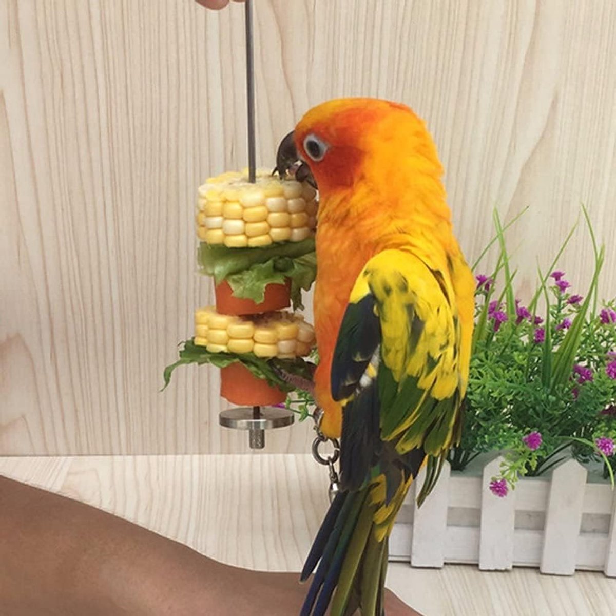 2 pieces - Bird Feeder - Small Animals Fruit and Vegetable Holder - Stainless Steel Vegetable Skewer - Food Finder - Hanging Food Feeding and Handling Tool - for Parrots, Cockatoos, Cockatiels - 20cm and 12cm - Silver