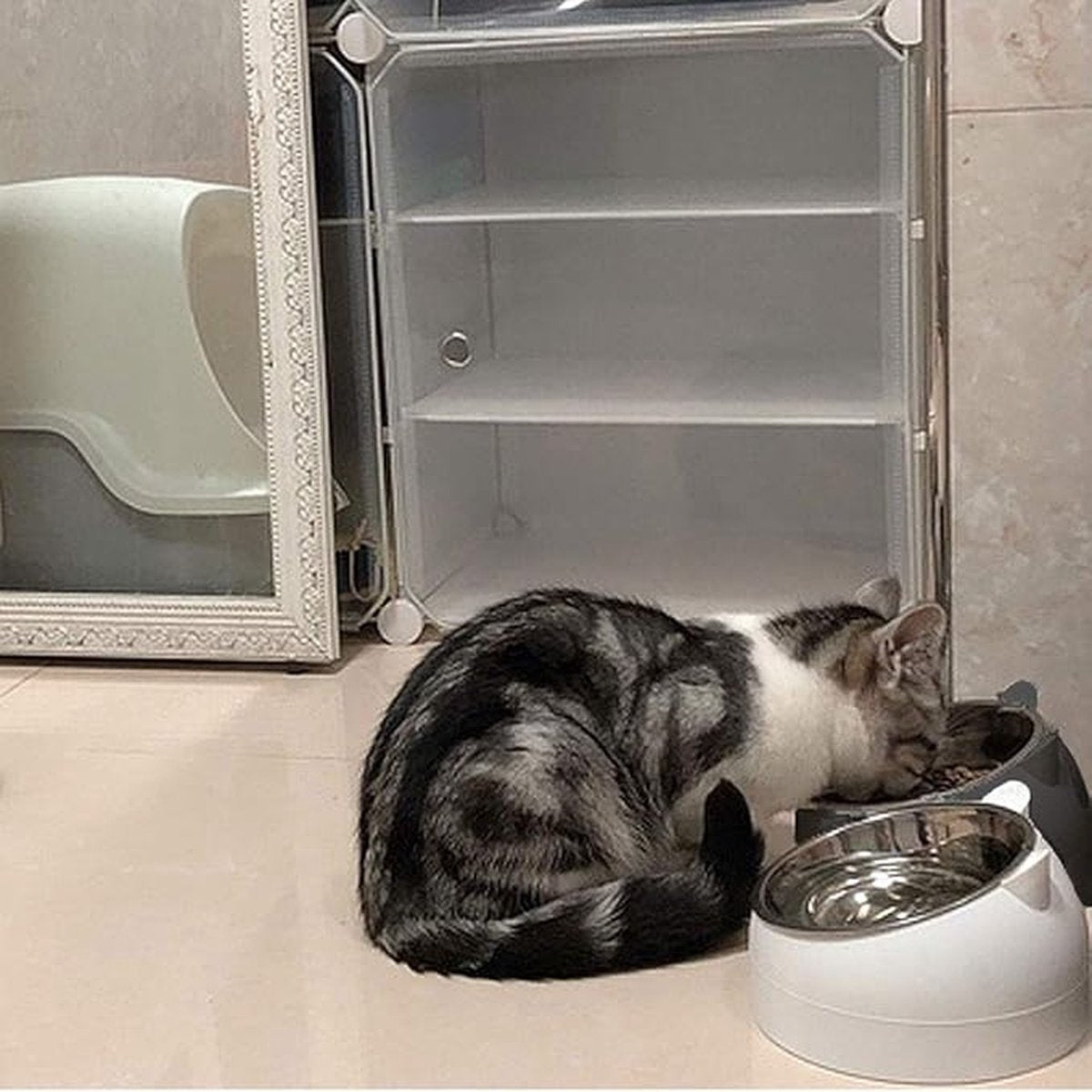 2 pieces - food bowls for cats - Dog food bowl - black, white - 200 ml - Drinking bowl for dogs and cats - Stainless steel - With cat head shape