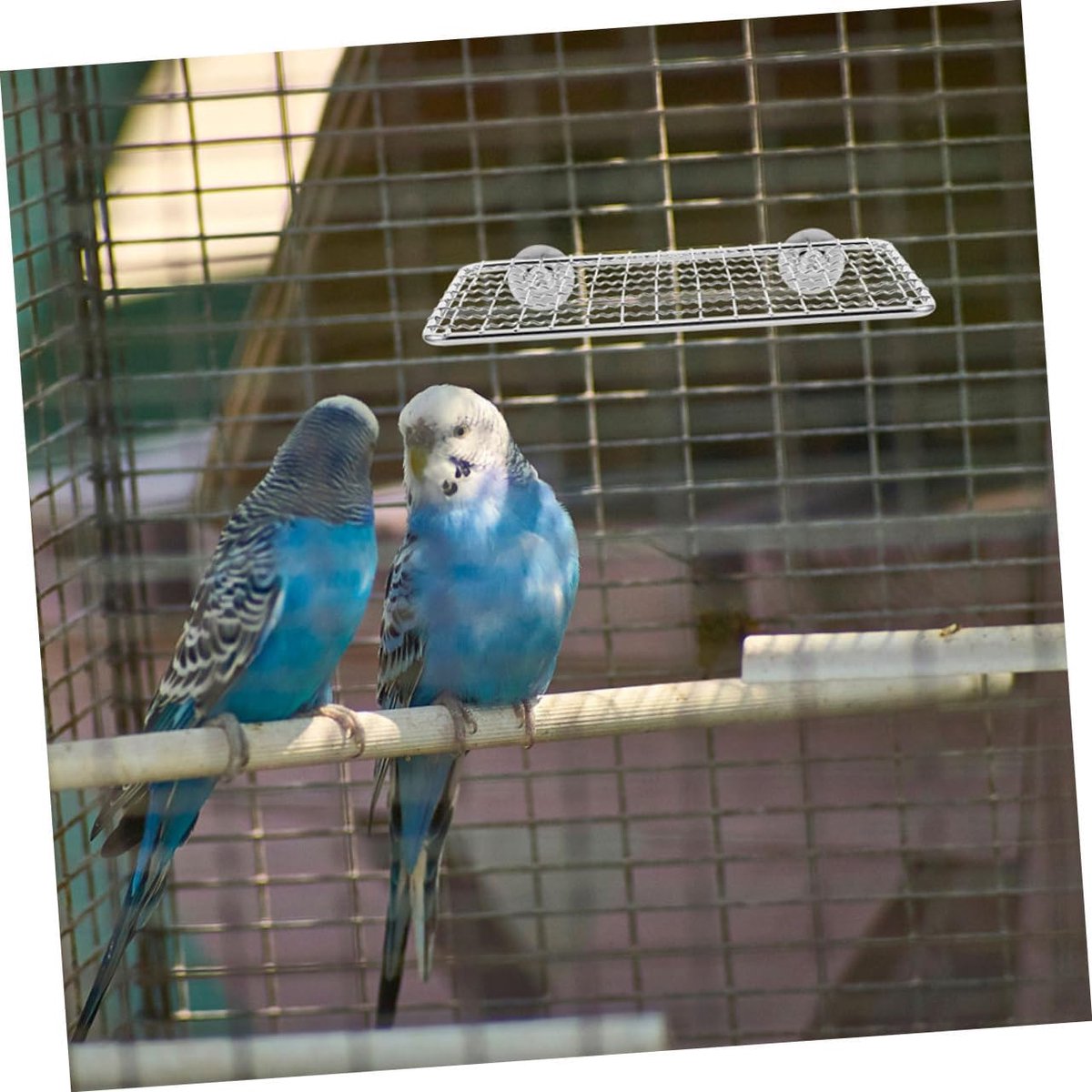 Bird Cage Accessories - Parrot Perch Made of Stainless Steel - Comfortable Resting Platform for Birds - Multifunctional Bird Cage Accessory - Modern Design - Suitable for Various Parrots, Provides Your Pet with a Comfortable Resting Place
