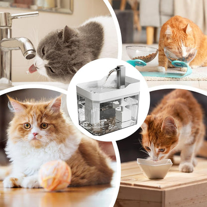 Pet Drinking Fountain - Large Capacity - Removable - 1pc