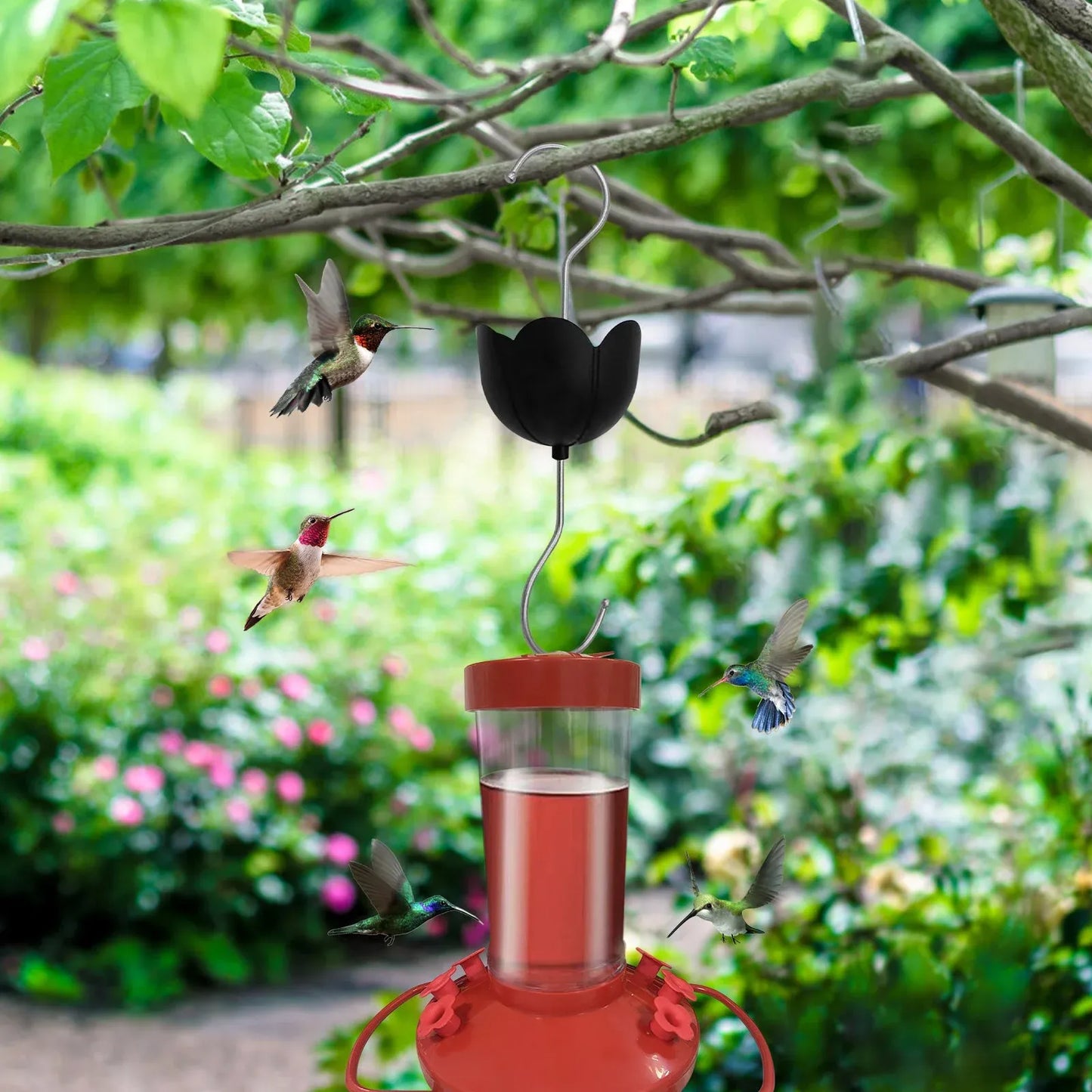 Large Diameter Ant Moat Cup Clear Reservoir Hard Plastic Stainless Hook Heavy-Duty Ant Guard for Hummingbird Feeder Garden Outdoor Backyard Decoration