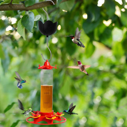 Large Diameter Ant Moat Cup Clear Reservoir Hard Plastic Stainless Hook Heavy-Duty Ant Guard for Hummingbird Feeder Garden Outdoor Backyard Decoration