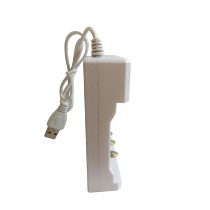 No. 5 White Four -Sannin Nickel chromium nickel -metal hydride charging battery charger