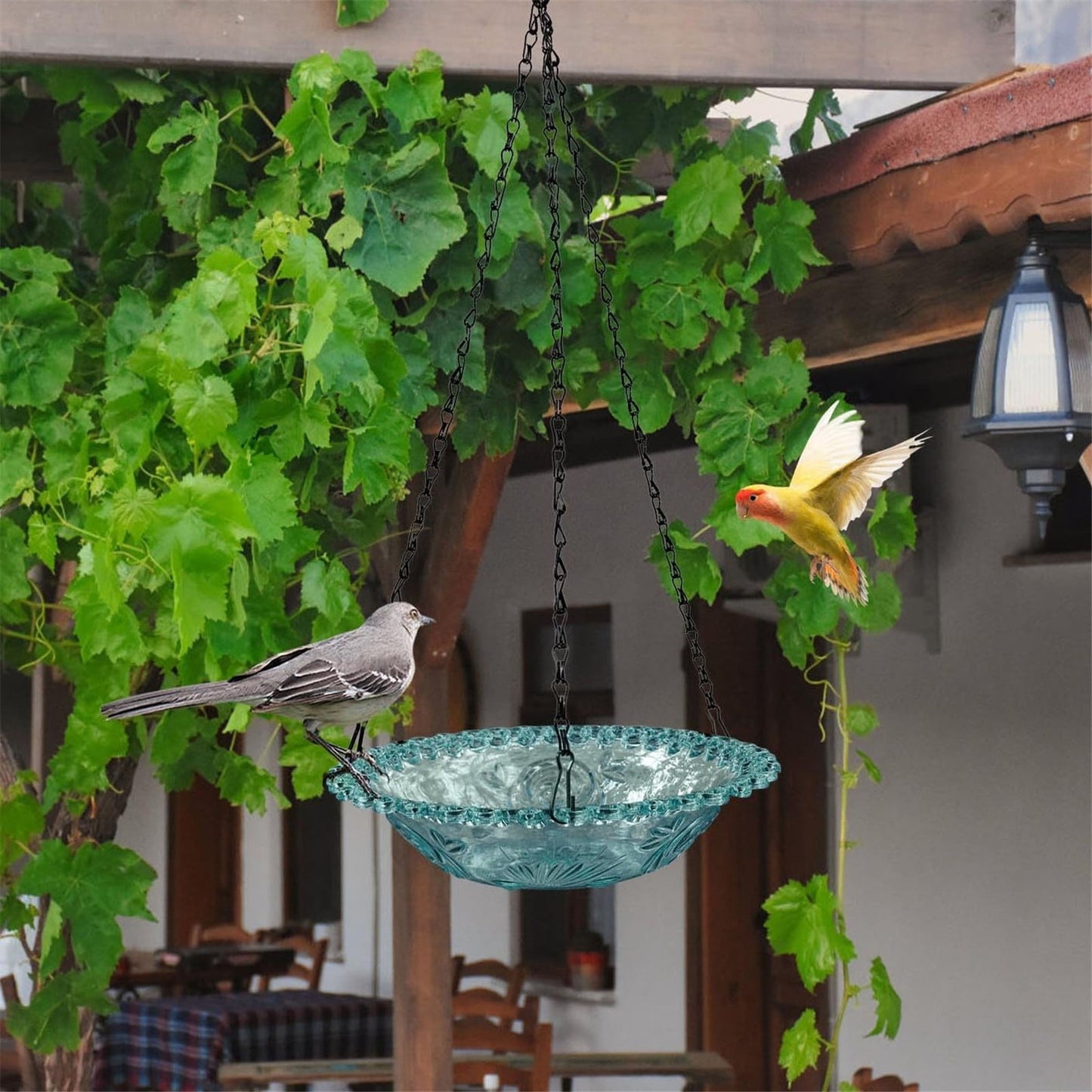 Bird Feeders for Outdoors ! Hanging Bird Bath Plastic Bird Bath Plate Hanging Tray for Outdoors Hanging Bird Water or Bird Seed Hanging Bird Feeder for Outdoors Bird Bath Bowl S4-Blue