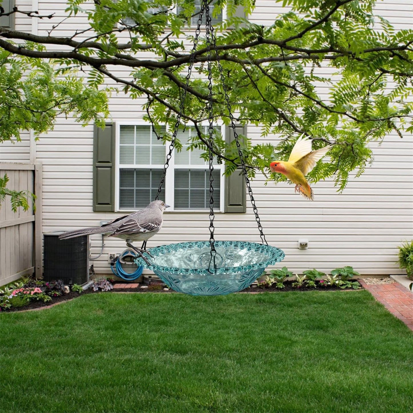 Bird Feeders for Outdoors ! Hanging Bird Bath Plastic Bird Bath Plate Hanging Tray for Outdoors Hanging Bird Water or Bird Seed Hanging Bird Feeder for Outdoors Bird Bath Bowl S4-Blue