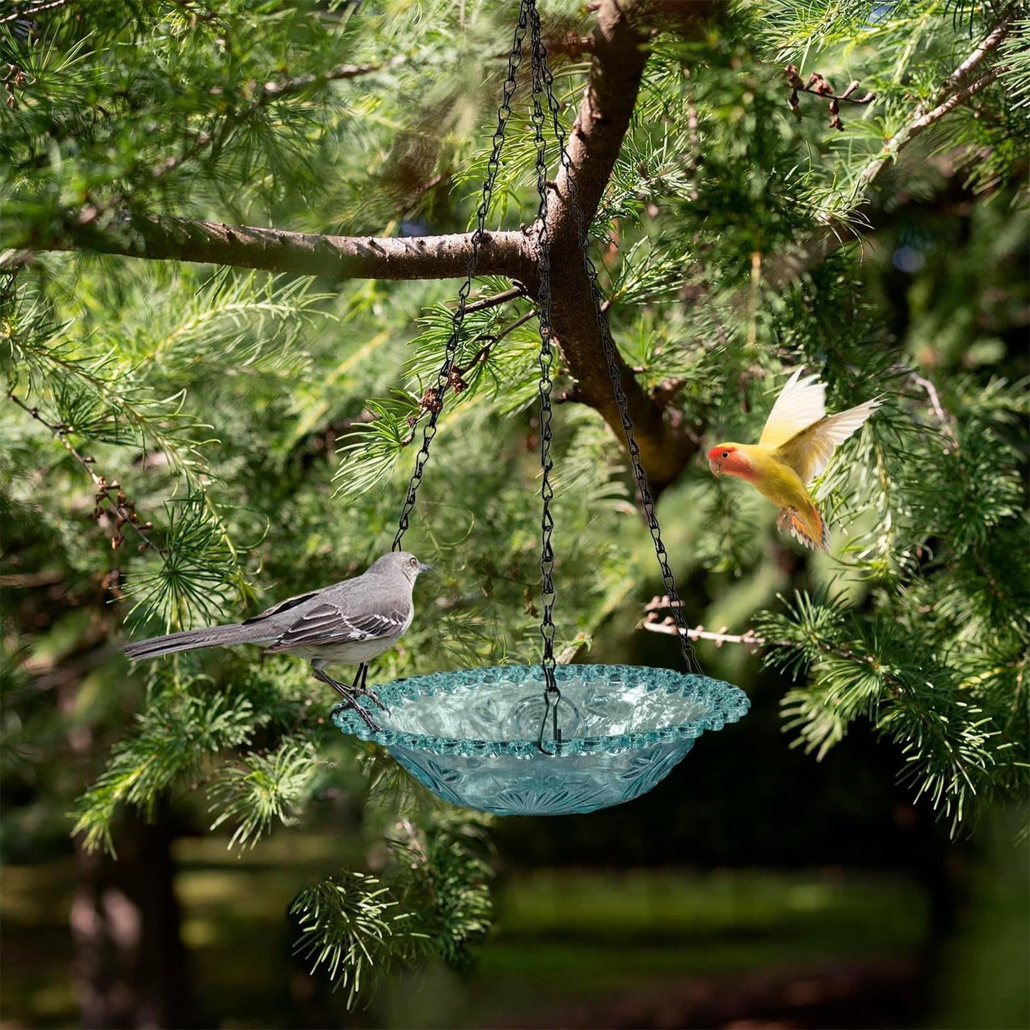 Bird Feeders for Outdoors ! Hanging Bird Bath Plastic Bird Bath Plate Hanging Tray for Outdoors Hanging Bird Water or Bird Seed Hanging Bird Feeder for Outdoors Bird Bath Bowl S4-Blue
