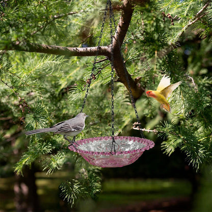 Bird Feeders for Outdoors ! Hanging Bird Bath Plastic Bird Bath Plate Hanging Tray for Outdoors Hanging Bird Water or Bird Seed Hanging Bird Feeder for Outdoors Bird Bath Bowl S4-Purple