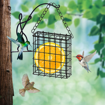 Square Suet Bird Feeder Cage, Heavy-Duty Iron with Protective Coating, Holds One Cake for Nuthatches and Chickadees, Easy-Clean Design, Rust-Resistant Outdoor Hanging Feeder for Backyard Birds Black