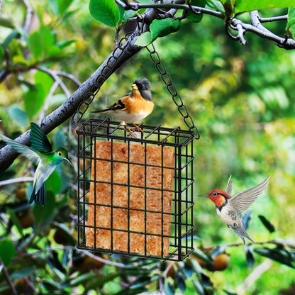 Square Suet Bird Feeder Cage, Heavy-Duty Iron with Protective Coating, Holds One Cake for Nuthatches and Chickadees, Easy-Clean Design, Rust-Resistant Outdoor Hanging Feeder for Backyard Birds Black