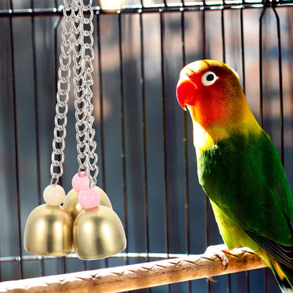 Rattle The Bell Parrot Toy for Large Birds - Stainless Steel Cage Decor for Parakeets, Cockatiels, and Small Tail Birds