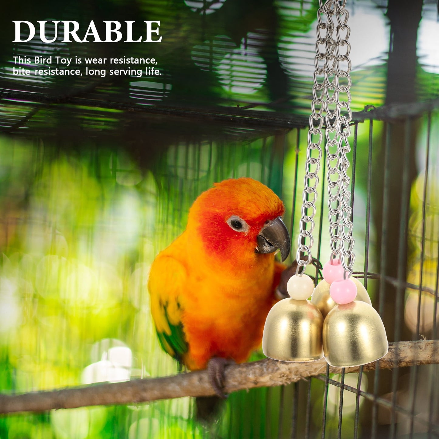 Rattle The Bell Parrot Toy for Large Birds - Stainless Steel Cage Decor for Parakeets, Cockatiels, and Small Tail Birds