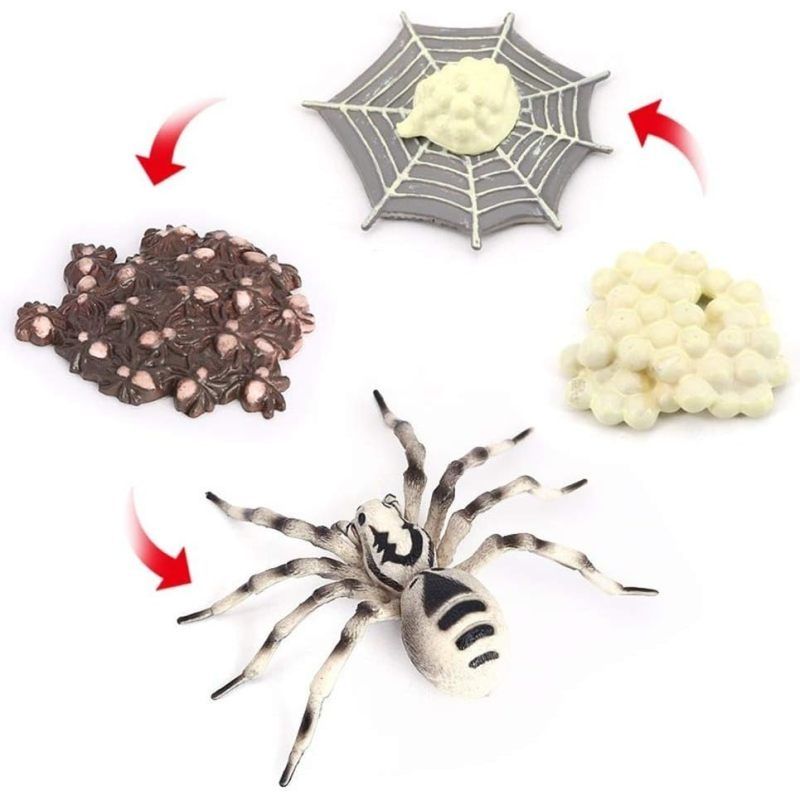 Realistic Animal Figures - Spider Action Model Lifelike Insect Toy Figures - Educational Learning Toys Birthday Set (Tarantula)