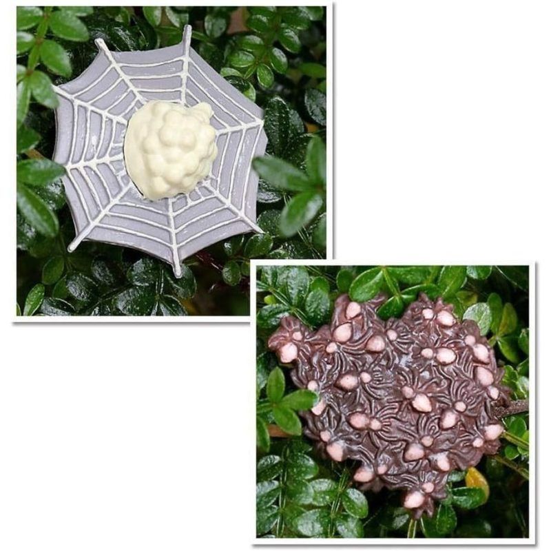 Realistic Animal Figures - Spider Action Model Lifelike Insect Toy Figures - Educational Learning Toys Birthday Set (Tarantula)