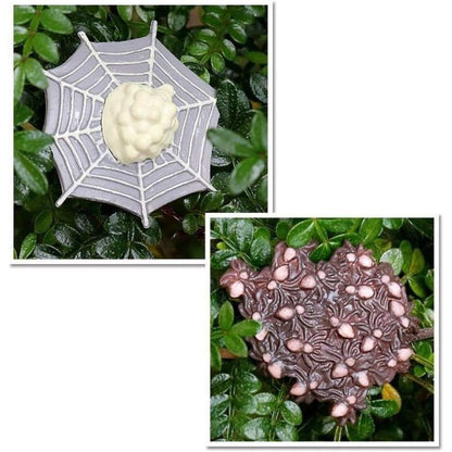 Realistic Animal Figures - Spider Action Model Lifelike Insect Toy Figures - Educational Learning Toys Birthday Set (Tarantula)
