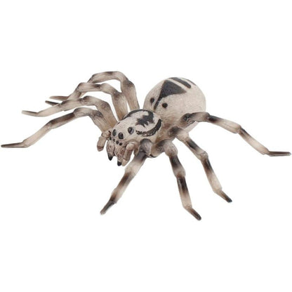 Realistic Animal Figures - Spider Action Model Lifelike Insect Toy Figures - Educational Learning Toys Birthday Set (Tarantula)