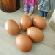 5Pcs Wooden Faux Fake Eggs, Children Play Kitchen Game Food Toy - Log Color Laying Hen Agricultural Tool Eggs for Nesting Box