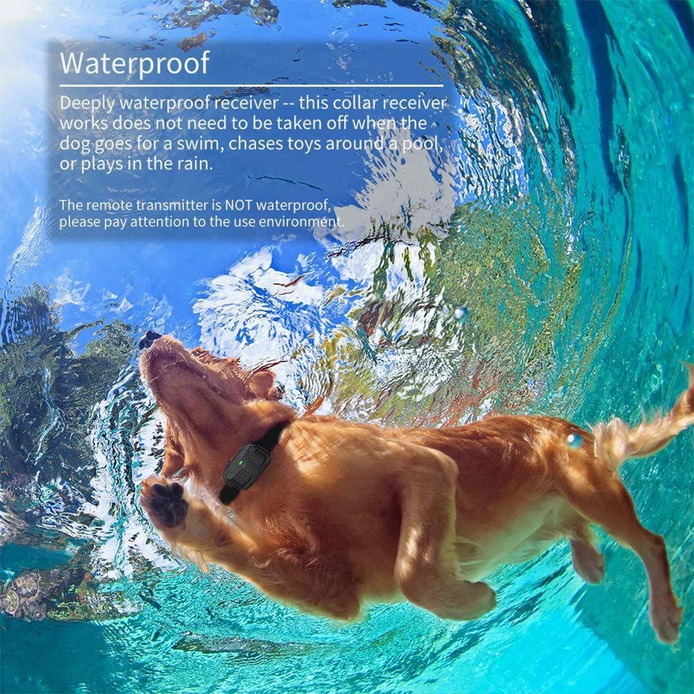 Dog Training Collar, Waterproof USB Rechargeable Dog Remote Trainer with Vibration Shock and Beep Mode for All Breeds Dogs ,Orange