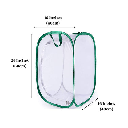 Insect and Butterfly Habitat Cage Terrarium Pop-up 24 Inches Tall with Zipper Protection or Housefly for Chicken and Reptile Feed, Green