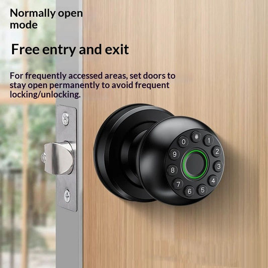 Fingerprint Door Lock, Smart Fingerprint Door Knob with Keypad, Biometric Door knobs with App Control, Auto Lock Door Lock with Code, Keyless Door Knob with Locks for Bedroom, Home,Office-Matte Black