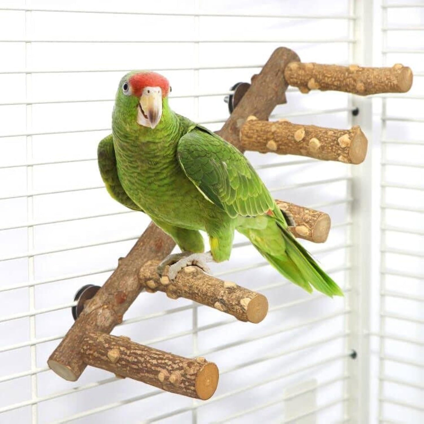 Bird Ladder Perch Cage Nature Wood Stand Parrot Chew Toy for Small Medium Parrot Animal