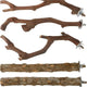 5PCS Bird Perch Stand Natural Wooden Parrot Stand Branch,3 Grape Wood Perch,2 Stand,Paw Grinding Fork Parakeet Chewing Stick Exercise Training （25cm）
