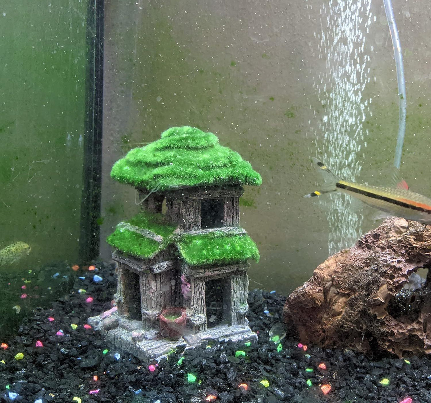 Fish House - Aquarium Decoration with Lifelike Moss, Comes Fish Tank Accessories witth Big Hole for Fish Sleep Rest Hide and Play