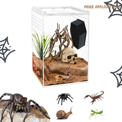 3 Pack Jumping Spider Coffin with Magnets for Pet Spider, Jumping Spider Enclosure Accessories, Spider Terrarium Decoration