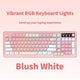 RGB Backlit Wired Mechanical Gaming Keyboard, 104 Keys Full Size Hot Swappable Keyboard with Aluminum Base, Noise Absorbing Foam, Tactile Brown Switch, Programmable Keys & Volume Knob for PC Mac,Blush White