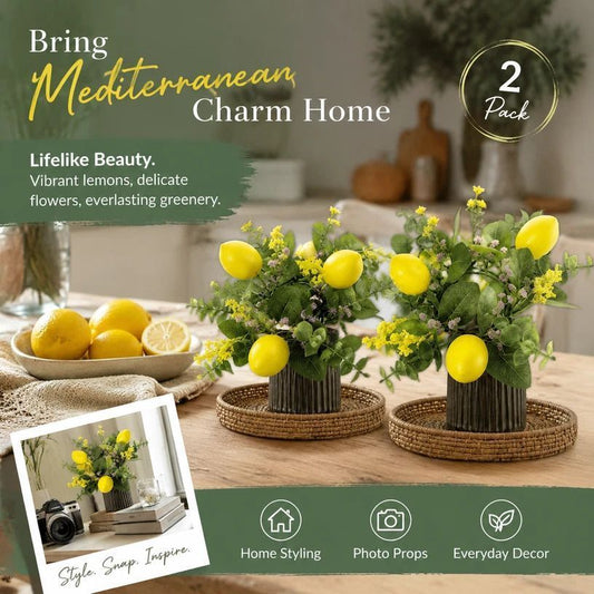Artificial Lemon Wreath Front Door Hanging Ornament Pack of 2