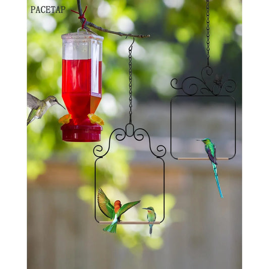 2 Pack Black Hummingbird Swings and Perches, Metal Frame Wild Bird Swing With Wooden Dowel and Hanging Chains for Indoor Outdoor
