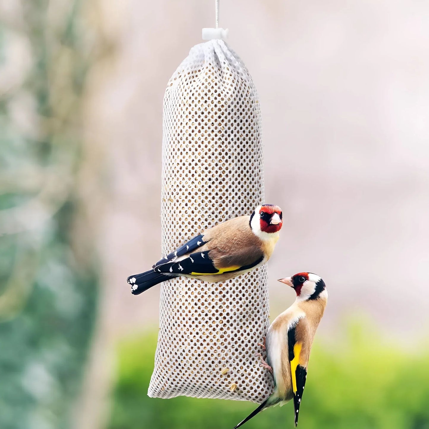 6 Pieces White Finch Sock Feeders, Thistle Seed Hanging Bird Feeder Bags for Outdoor Garden Yard Wild Birds, 4.7 x 11 in