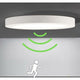 LED Ceiling Light Round Panel Ceiling Lamps Modern Ultra Thin LED Lamp Cool White 6000K Kitchen Room Living Room Balcony
