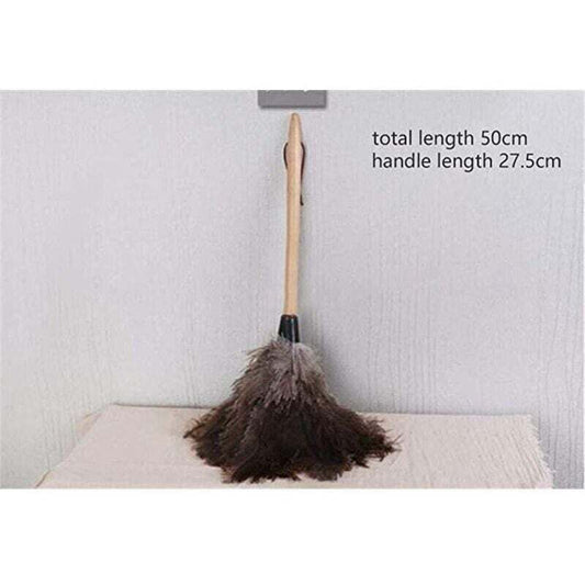 Feather Dusters for Home and Office, Ostrich Feathers, Ostrich Feather Dusters, Natural Ostrich Feathers