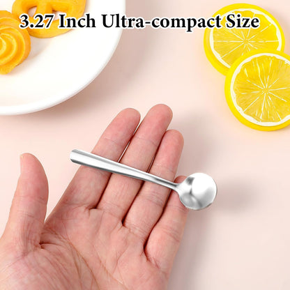 4Pcs Tiny Spoons for Spices, 3.5 Inch Stainless Steel Spice Spoon, Small Spoons for Spice Jars, Mini Metal Spoon for Sugar Salt Honey, Silver