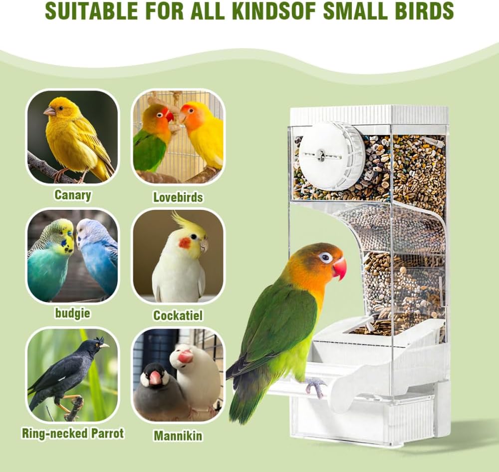 Automatic Bird Feeder for Parakeets, Cockatiels & Canaries with Convenient Seed Catcher Tray Yellow